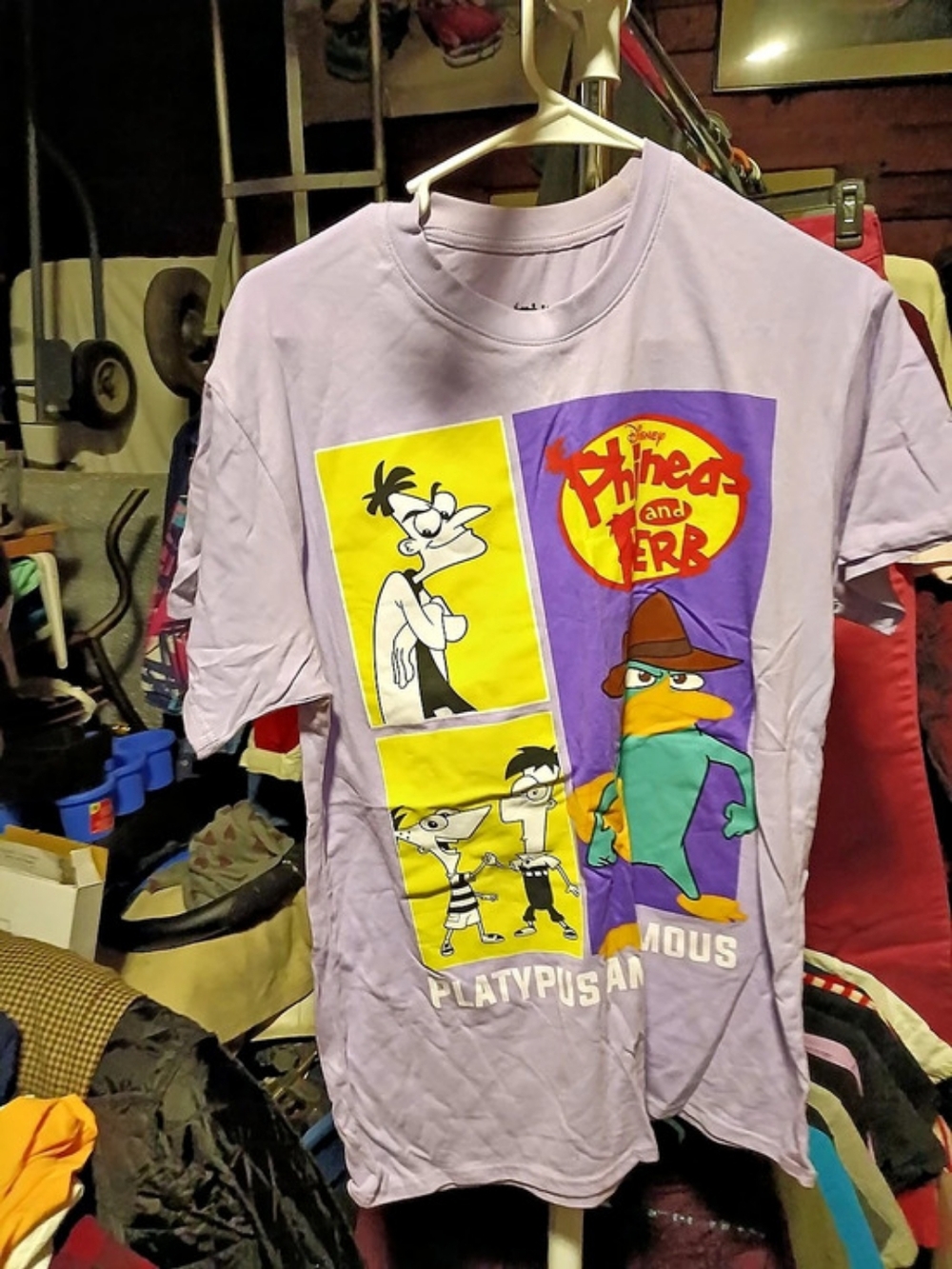 Disney Phineas and Ferb Platypus Anonymous Graphic T-Shirt Graphic Short Sleeve